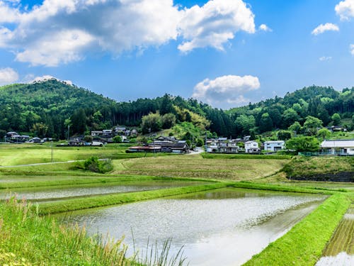 京丹波町の日本のふるさと田園風景