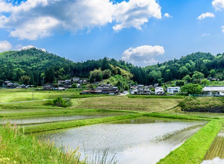 京丹波町の日本のふるさと田園風景