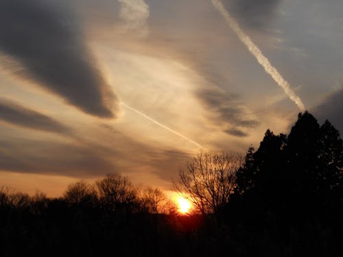 森林と育まれる京丹波町の自然風景