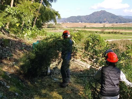 間伐、竹林管理などによる森林整備