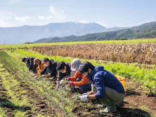 中央アルプスと南アルプスに囲まれた絶景で農業研修