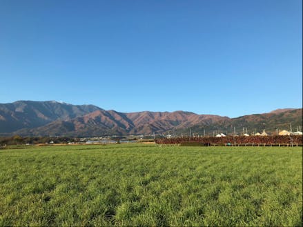 毎日アルプスを見ながらの暮らしは癒されます!