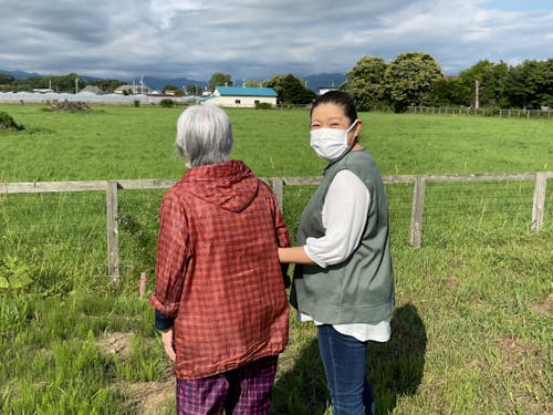 お散歩しましょう!向こうに馬がいるんですよ!