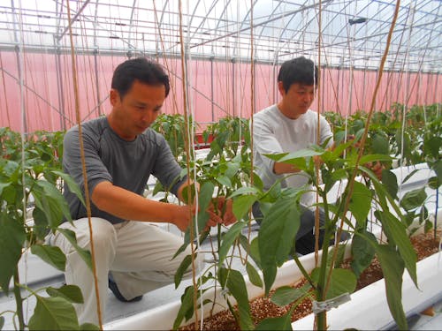 一緒に活動できるのを楽しみにしてます!