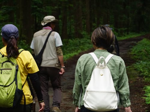 詳しいガイドにより、里山に出かけよう!