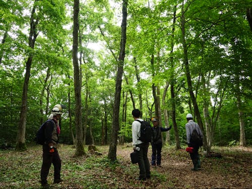 保全した山を、ガイドで巡る