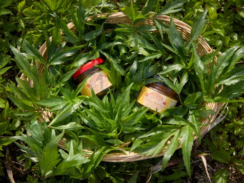 美郷町産の食材で作られたインドネシアの調味料”サンバル”。