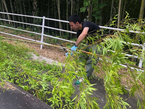 大人の山留学1期生の佐藤さん。バリの伝統的な飾り”ペンジョール”を試作。