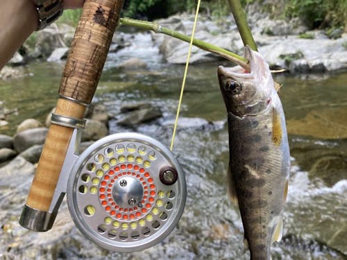 休日の楽しみは”フライフィッシング”。