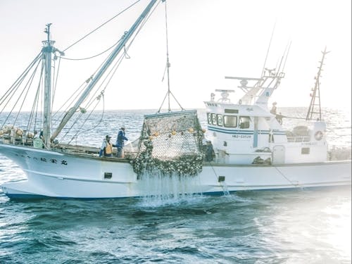 日本でも有数の水揚げ量を誇るホタテ漁の様子。