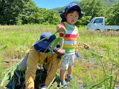 子どもたちが畑でのびのび育っています。