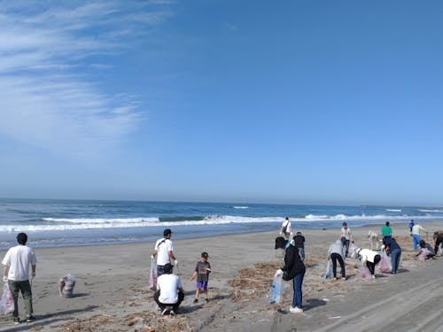 海岸クリーン作戦