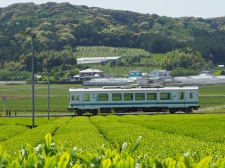 袋井市北部の茶畑沿いを走る天竜浜名湖鉄道