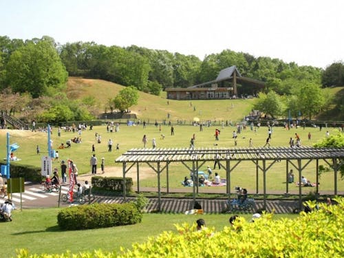 里山には丘陵地ならではの高低差を活かしたアクティビティも