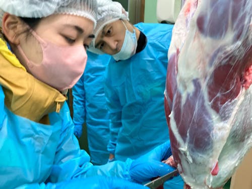 シカの解体精肉を体験している様子