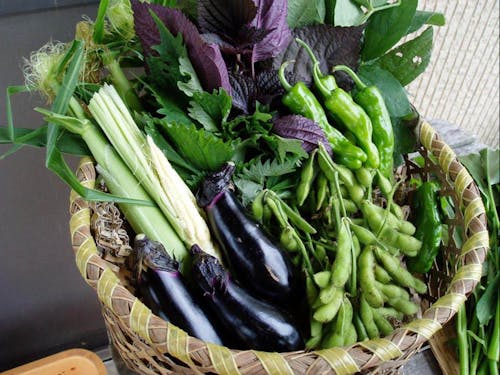 生産した野菜達