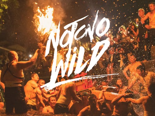 辻野氏制作 「NOTONO WILD」HP