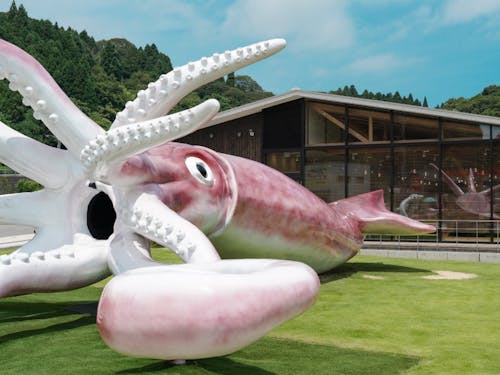 能登町は話題のイカキングのまち!