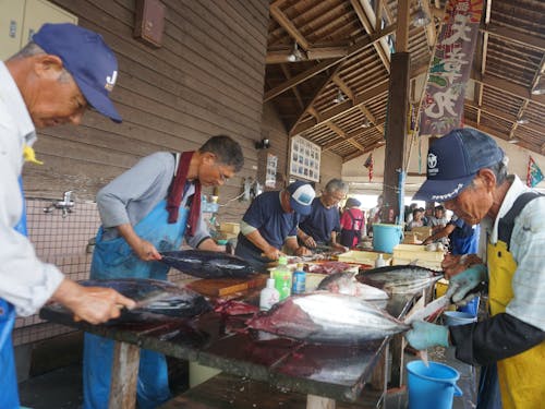 カツオ祭。漁師さん達が新鮮なカツオをどんどん捌いていきます。