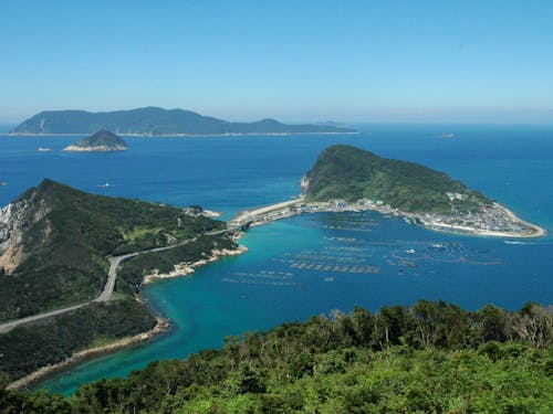 高知県南西部の柏島。こんな美しい海が職場になるかも!