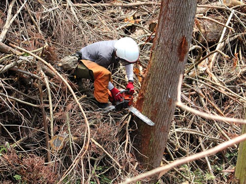 佐賀市地域おこし協力隊OB