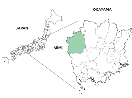 新見市は岡山県の北西部にあります。