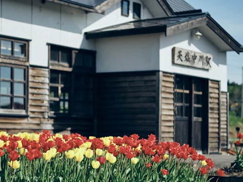 趣のある天塩中川駅では定期的にイベントが開催されます。