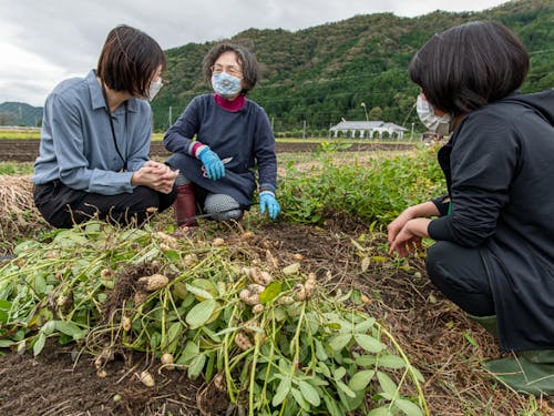 農場での説明①
