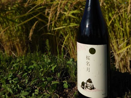 井川町の特産品 日本酒「桜名月」（ふるさと納税返礼品）