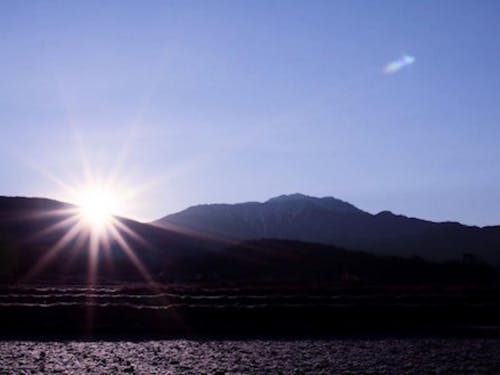 田んぼもアルプスと一緒に撮ると絵になるのです!