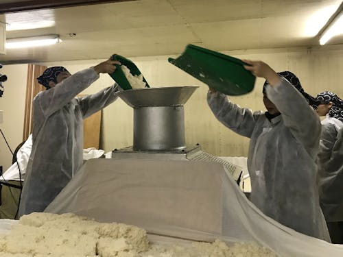 麹室で、麹を細かくする機械にいれる作業風景です