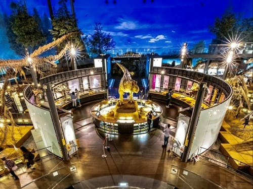 ド迫力の恐竜骨格が展示されている恐竜博物館！