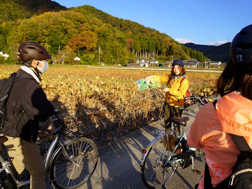 南条の特産品「花はす」を解説
