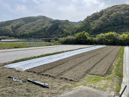 担当になる地域の風景。広い畑が広がる。