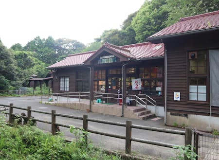 赤い瓦屋根に木枠の窓など、古い昭和の学校のような建物。博物館の前には小川が流れ、裏手には森が広がる