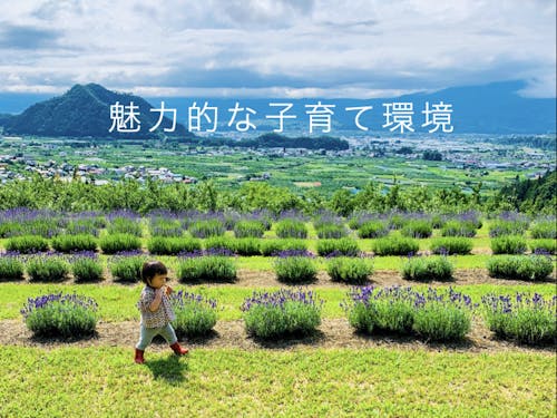 子育て環境は整っています