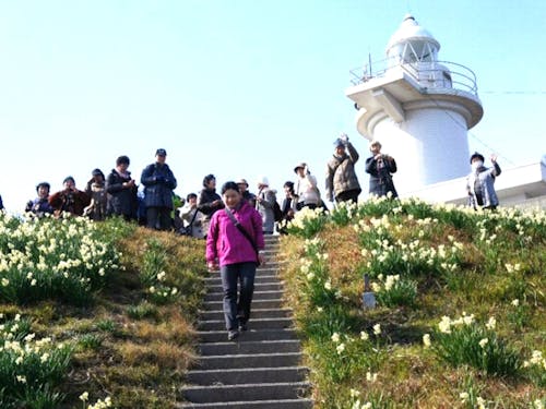 島の観光資源となった灯台。島民の努力や環境整備があってこそ