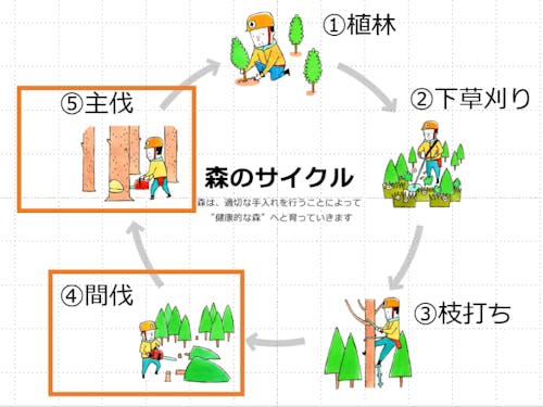 現代の森づくり