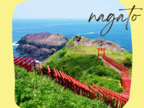 山口県長門市といえば元乃隅神社の景色