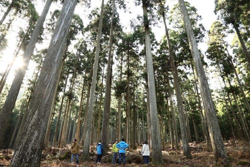 村の面積の約95%が森林。こんなきれいな森が近くにあります。
