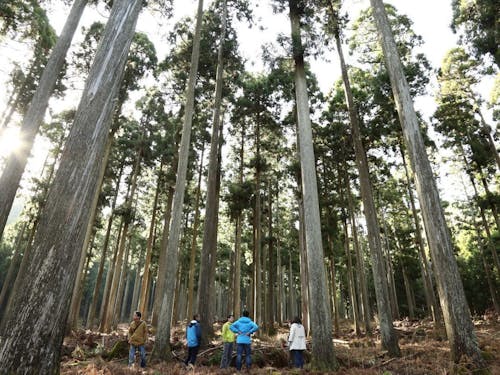 村の面積の約95%が森林。こんなきれいな森が近くにあります。