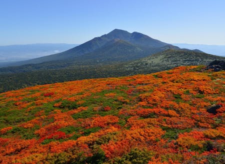 紅葉がとにかく美しい三ツ石山から望む岩手山