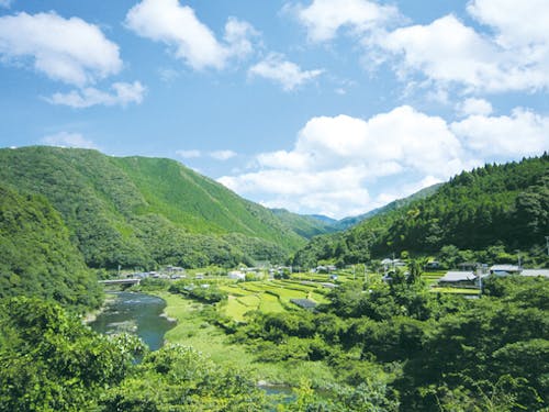 森林風景①〜日高川町：豊かな紀伊山地の山々と美しい渓流に抱かれたのどかな町〜