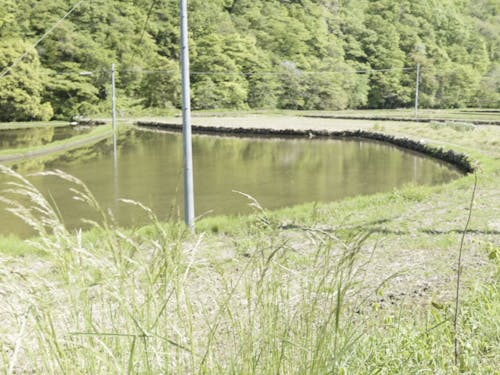 物件前に広がる田園風景。