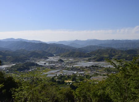 面積の約７割が森林資源の佐川町。