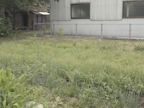 家の裏にある畑。耕せば家庭菜園が楽しめそうです。