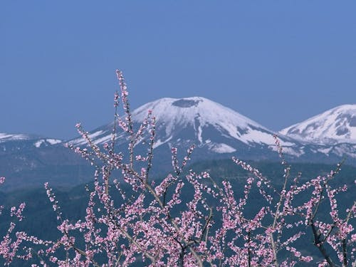 福島市のシンボル 吾妻山