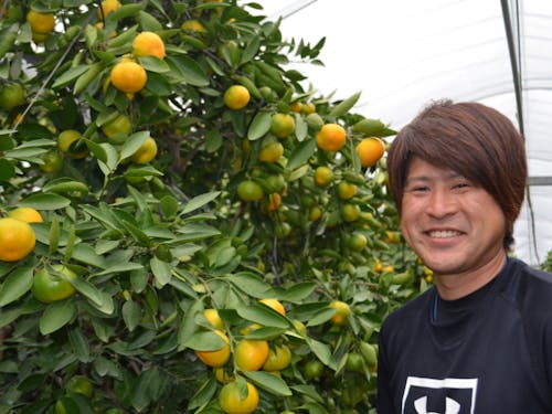 杵築市 岡本様(ハウスミカン農家)
