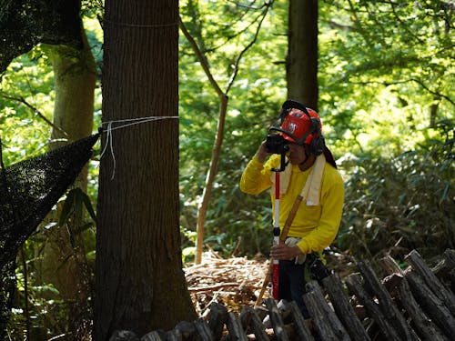 フィールドとなる森の健康状態を観察するのも大事な仕事の一つ