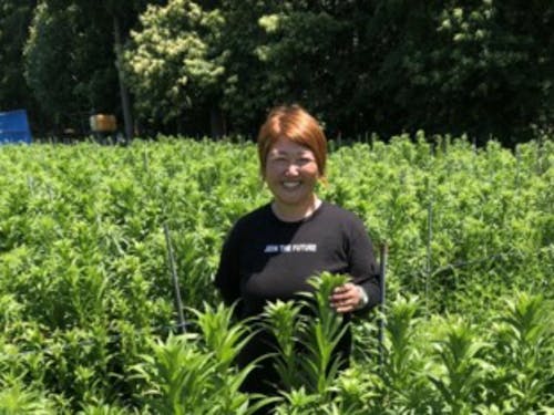 京花ファーム代表中村京子さん(てっぽうゆり他)